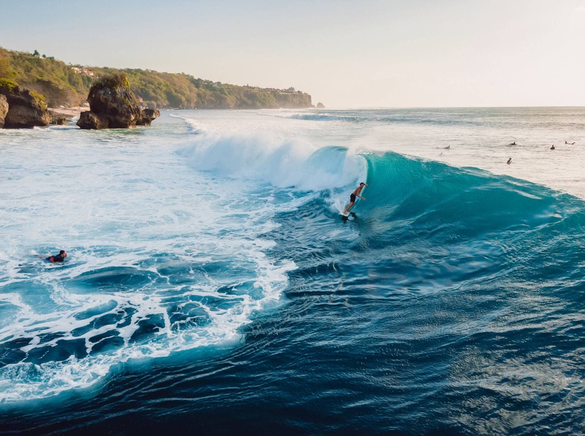 Surfen & Borrels