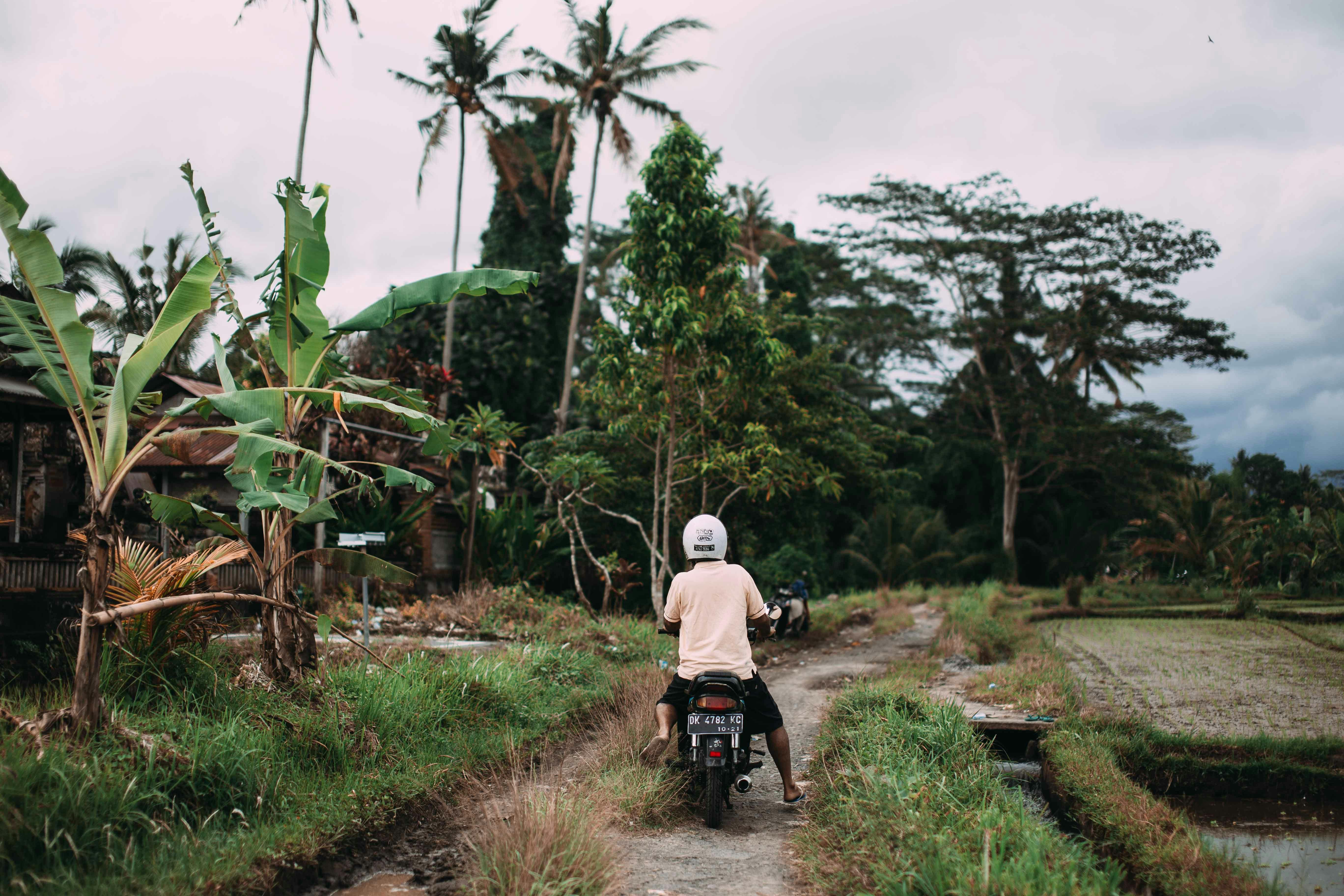 Op naar Ubud